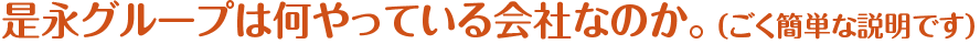 是永グループは何やっている会社なのか。（ごく簡単な説明です）